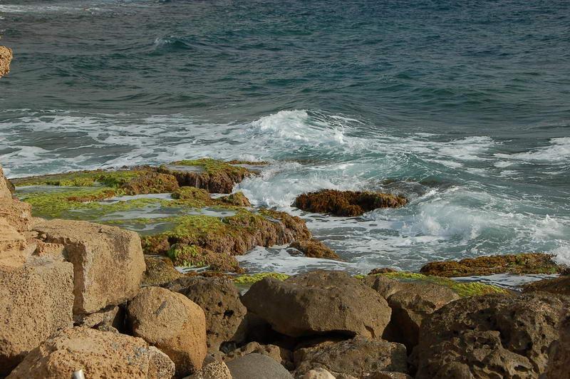 DSC_0195.JPG