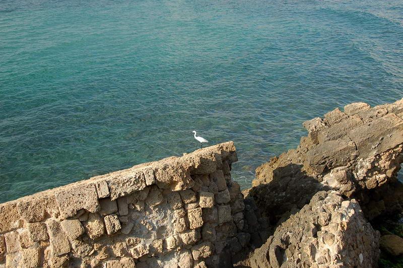 DSC_0230.jpg