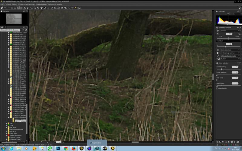 DSC_0178_S6.jpg
