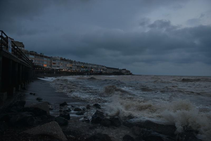 DSC_0721.jpg