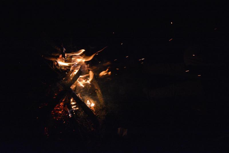 DSC_2166.jpg