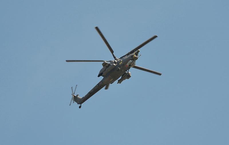DSC_2446_mm.jpg