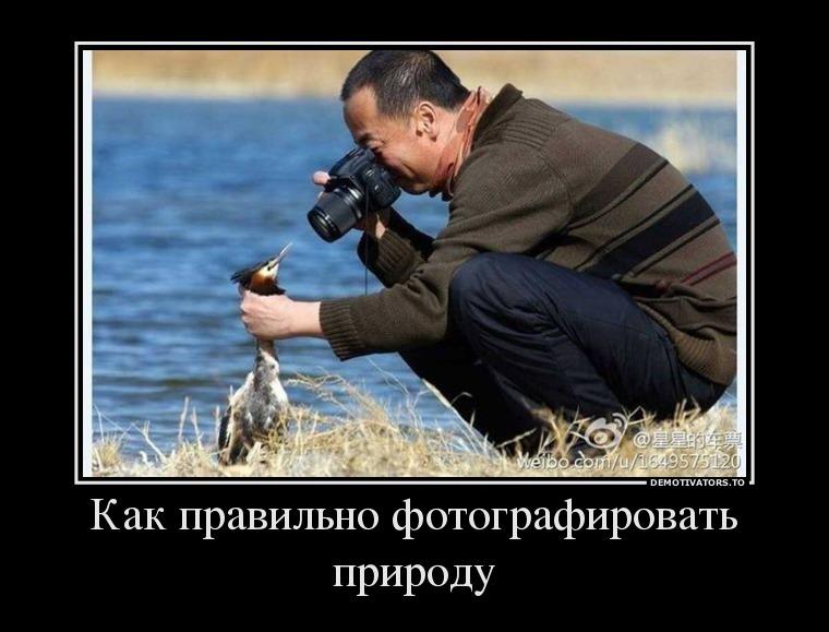 48212478_kak-pravilno-fotografirovat-prirodu.jpg