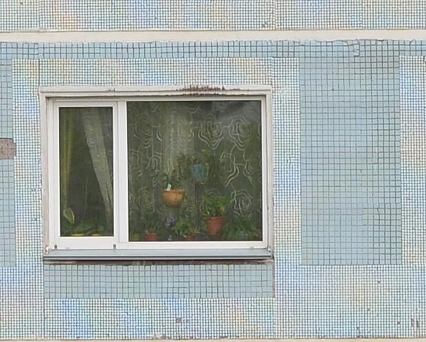 DSC_1947_crop.jpg