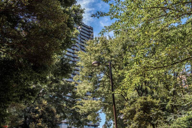 DSC_2720-2.jpg