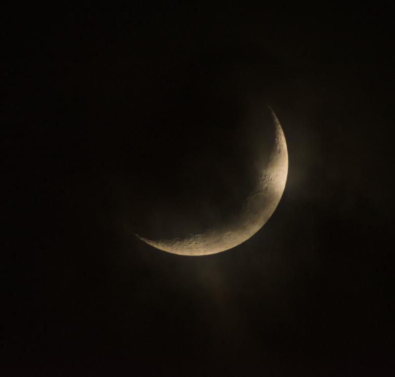 _DSC0846.jpg