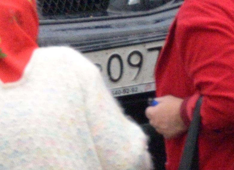 NDc_3133_crop.jpg