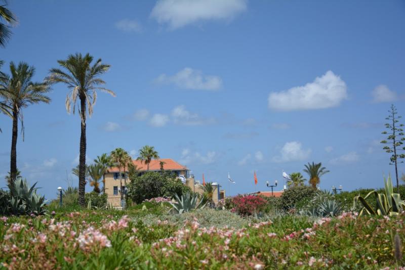 DSC_0885_01.JPG