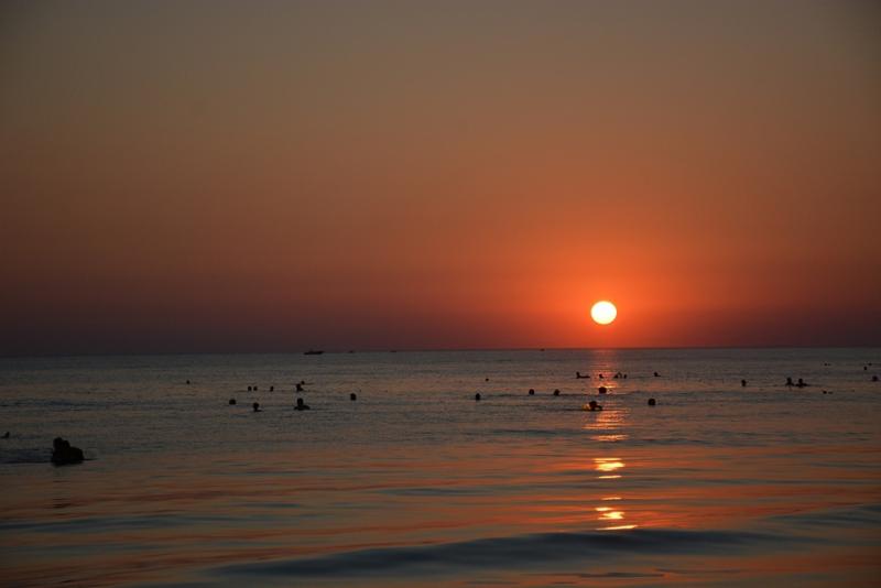 DSC_4028-1.jpg