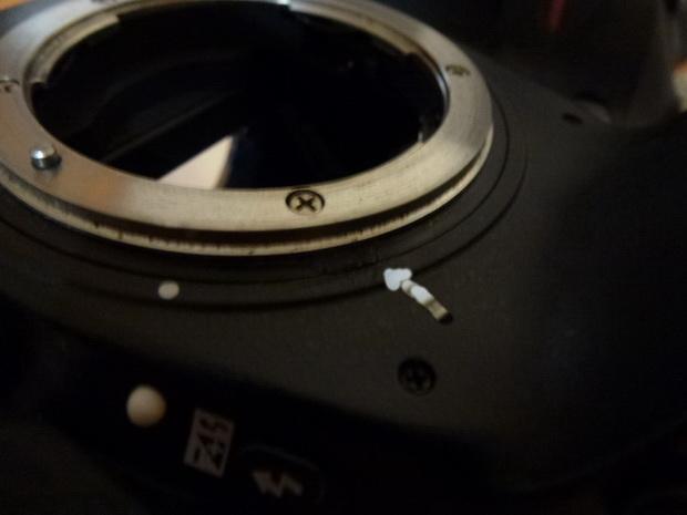 P1230605-11.JPG