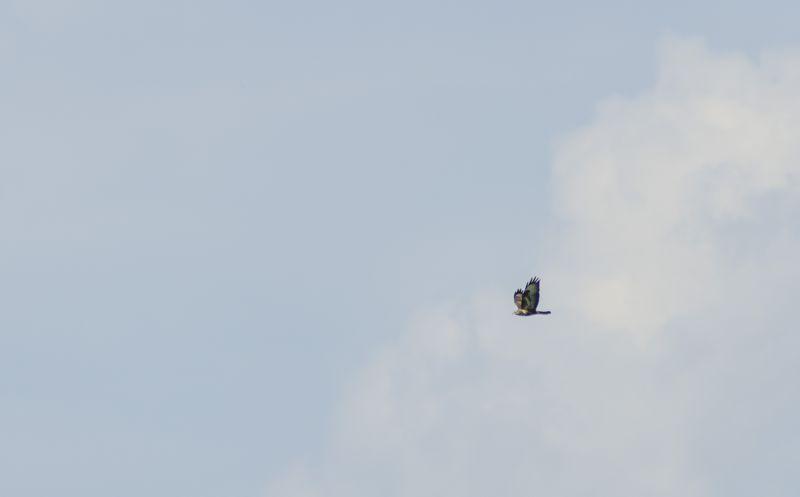 DSC_2577.jpg