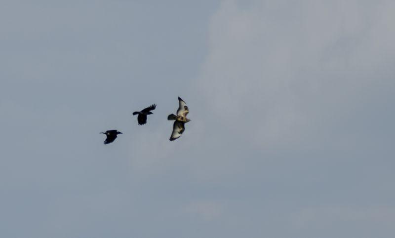 DSC_2578.jpg