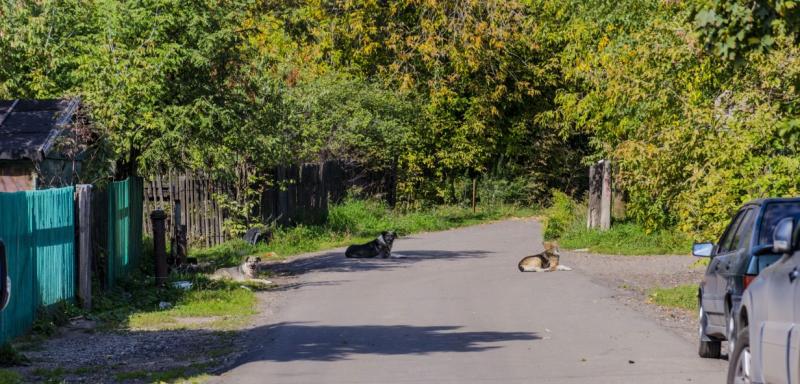 DSC_2526.jpg