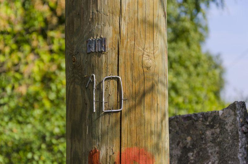 DSC_2531.jpg