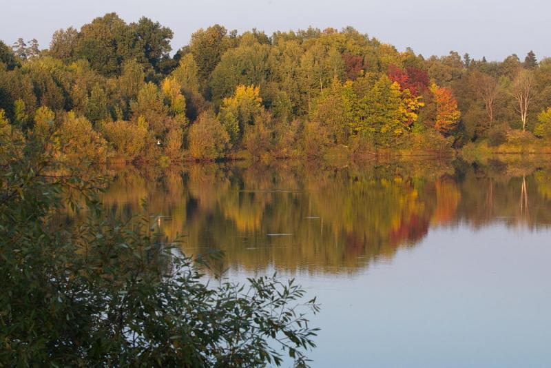 DSC_-06482.jpg