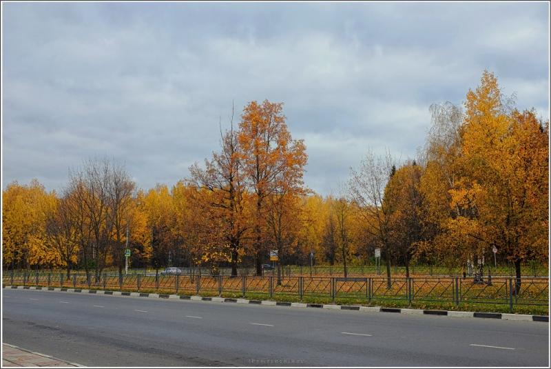 DSCF1606.JPG