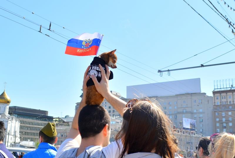 DSC_0394.JPG