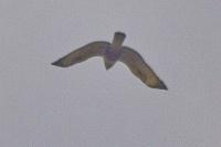 20141031_309883c7Draw.jpg