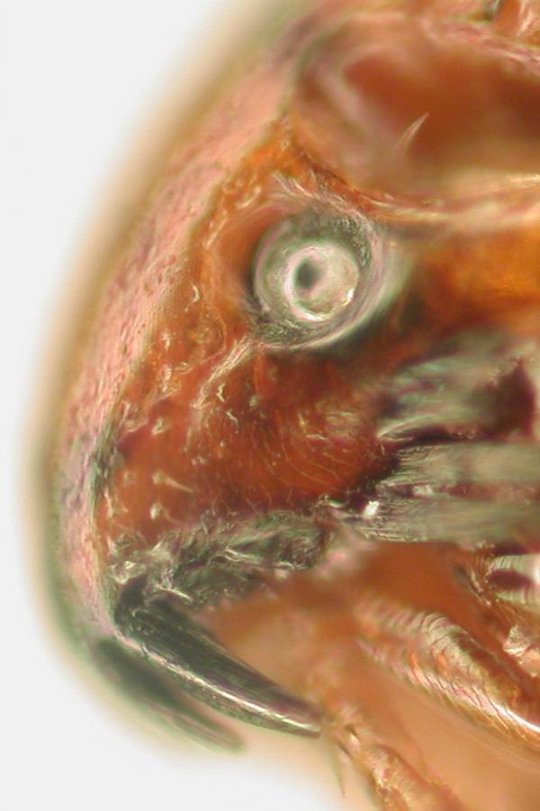 EPSN0010_cr.jpg