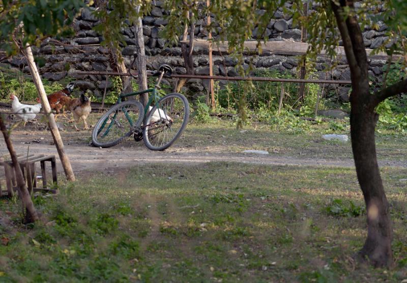 DSC_0585.jpg