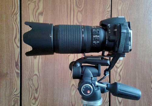 a9ebfa9ef9dc.jpg