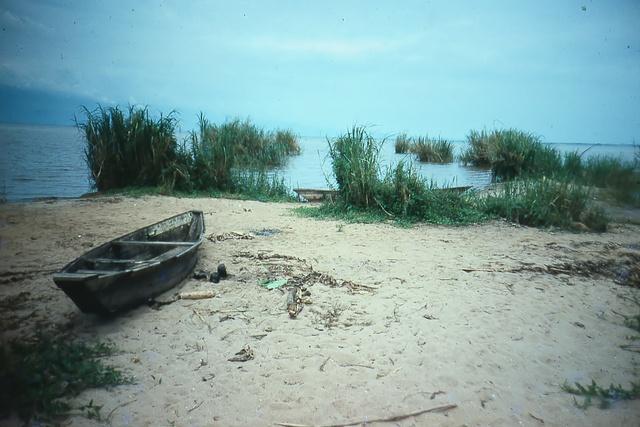 65_filtered 1111 222.jpg