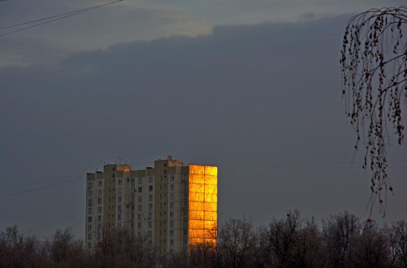 DSC_1662_1.jpg