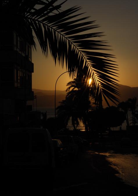 DSC_1067_001.jpg