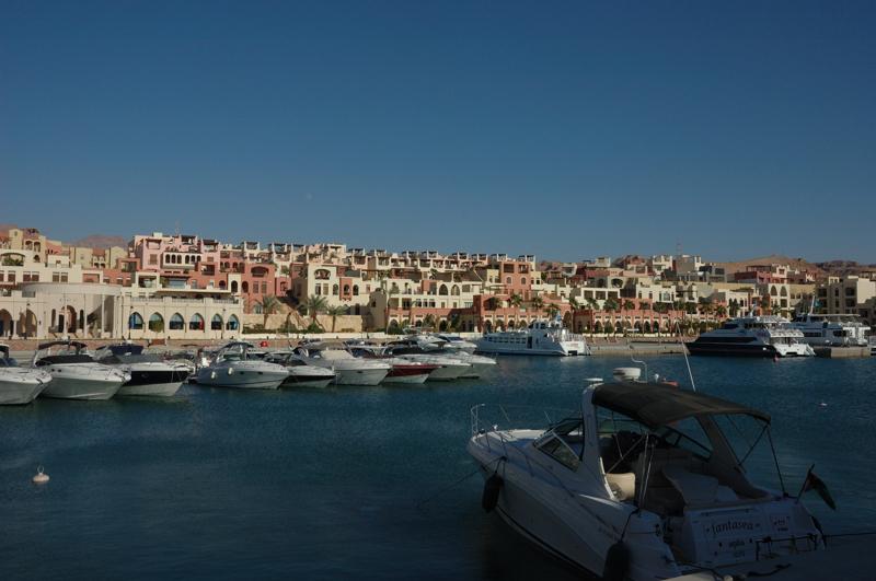 DSC_1037_001.jpg