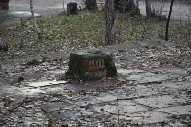 DSC_0788.JPG