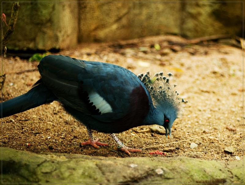DSC_6586.jpg