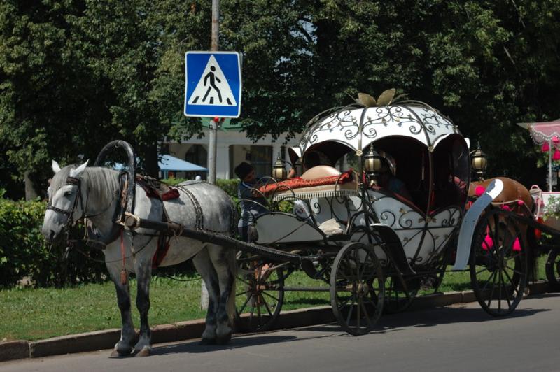 DSC_0039.jpg