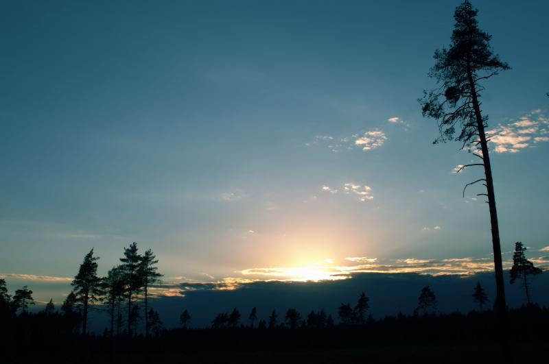 IMGP8903 -19.jpg