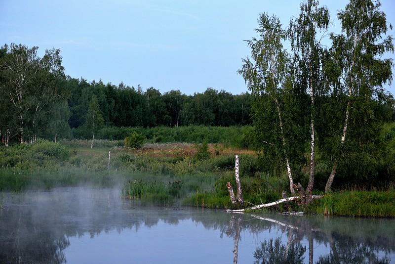 DSC_0389  777.jpg