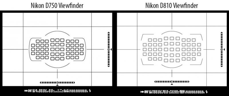 Nikon-D750-vs-D810-Viewfinder.jpg