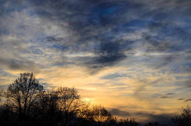 DSC_21098-2.jpg