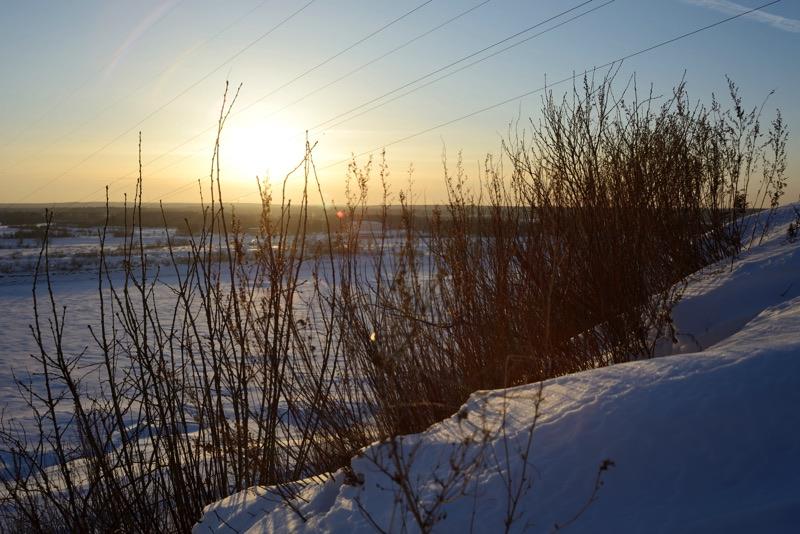 DSC_5396 copy.jpg