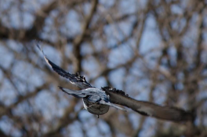 DSC_3325.jpg