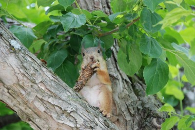 DSC_0351_resize.JPG