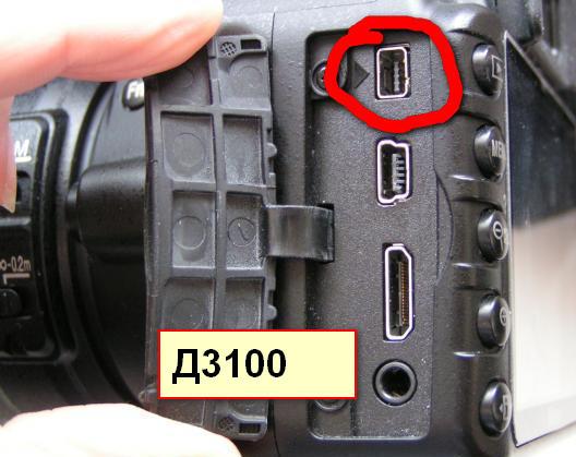 775042.jpg