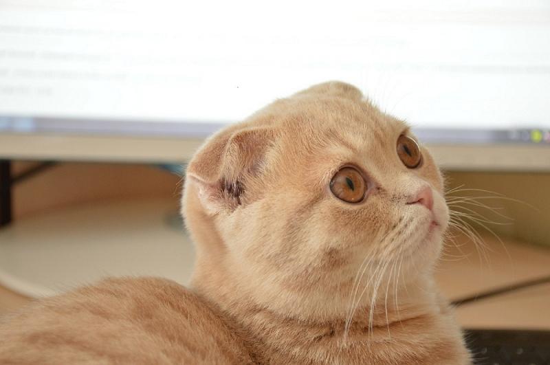 DSC_0036.JPG