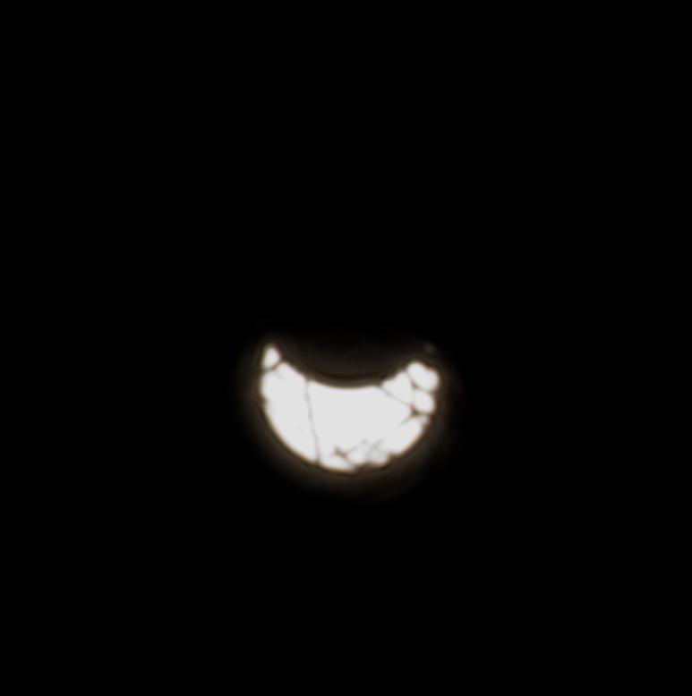 DSC_8987.jpg