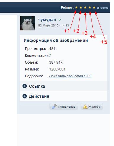 Снимок372.jpg