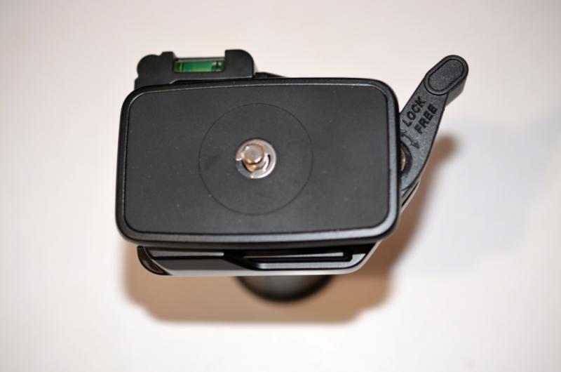 CSC_0134.jpg