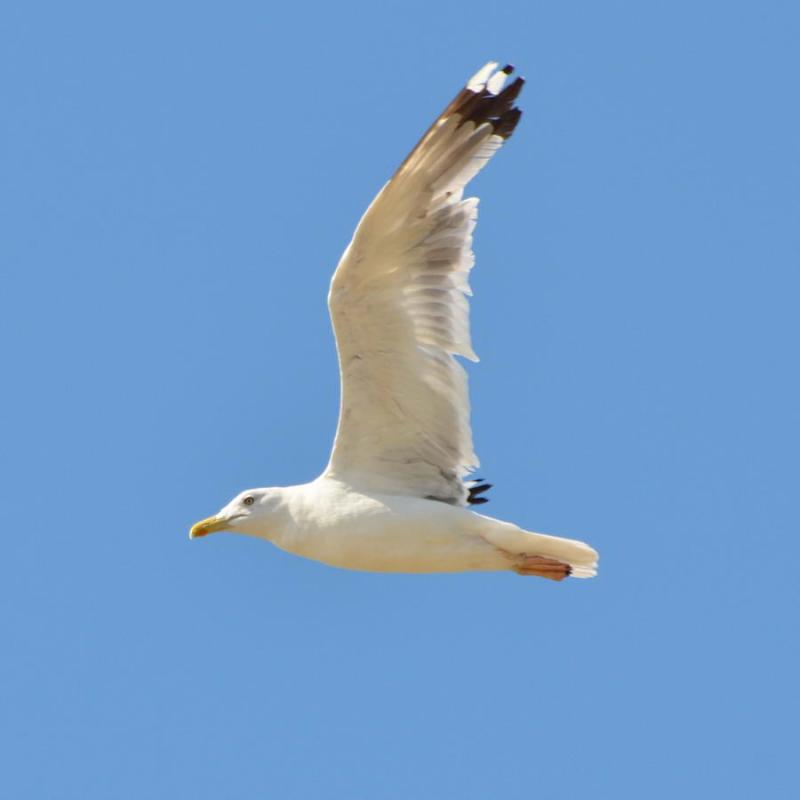 DSC_5666.JPG