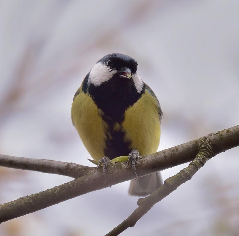 DSC_0658 3.jpg