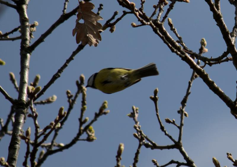 DSC_21716.jpg