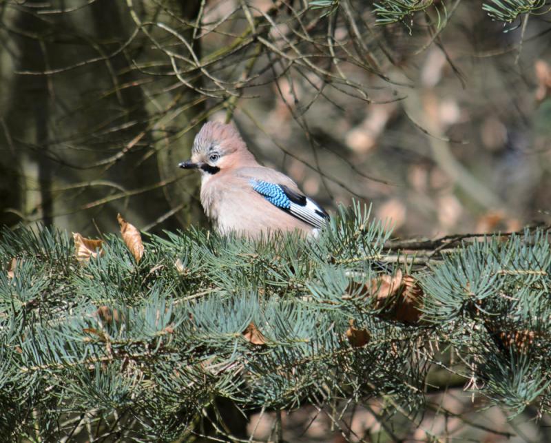 DSC_21732.jpg