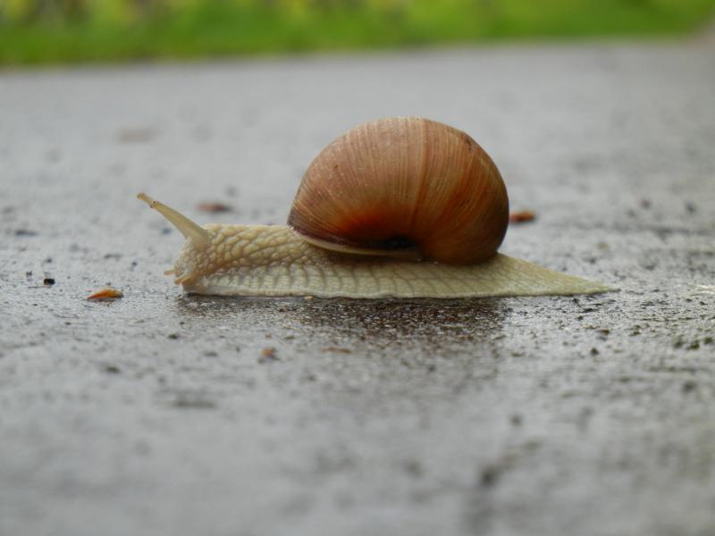 DSCN1554.JPG