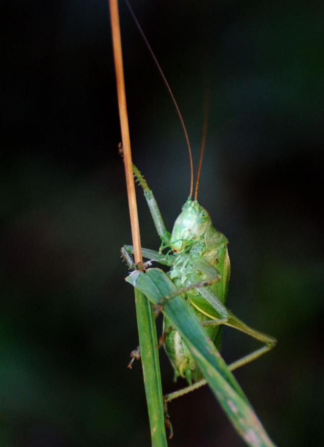 DSC_2964.jpg